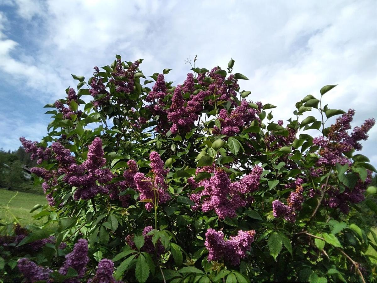 哥斯托德尔布里克度假屋 Seebach  外观 照片