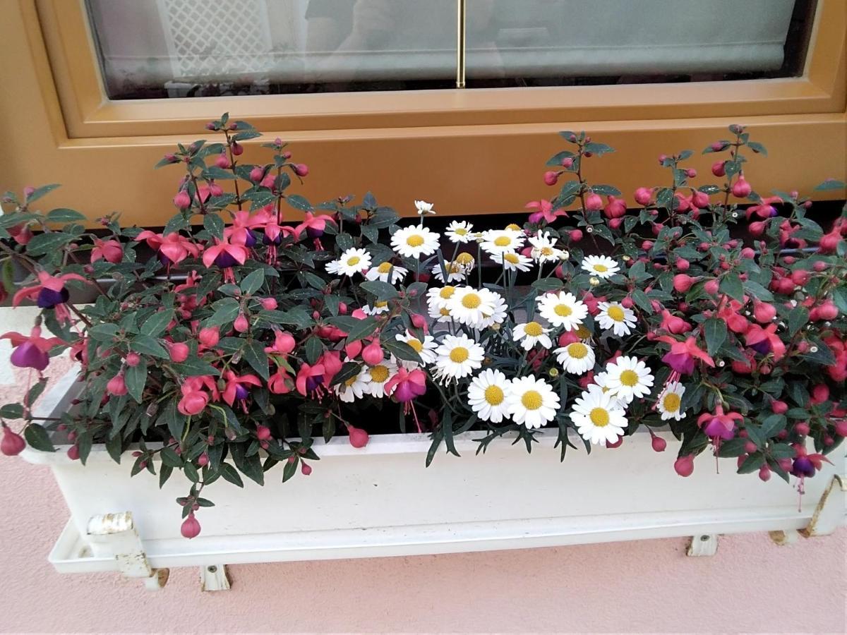 哥斯托德尔布里克度假屋 Seebach  外观 照片