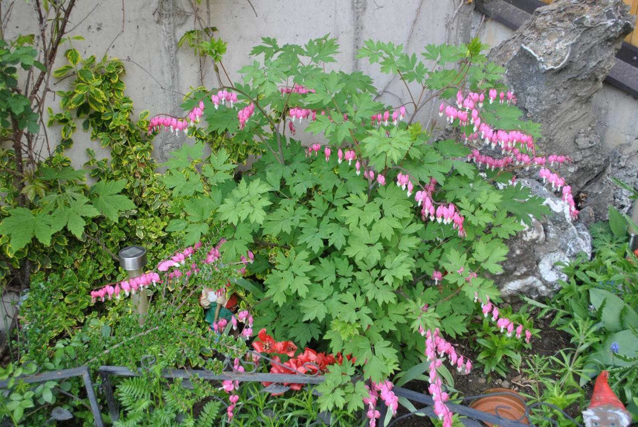 哥斯托德尔布里克度假屋 Seebach  外观 照片